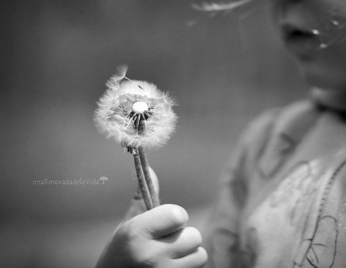 {may all your wishes come true...}