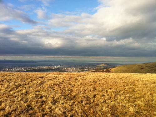 Looking towards Edinburgh from Capelaw Hill, Pentlands