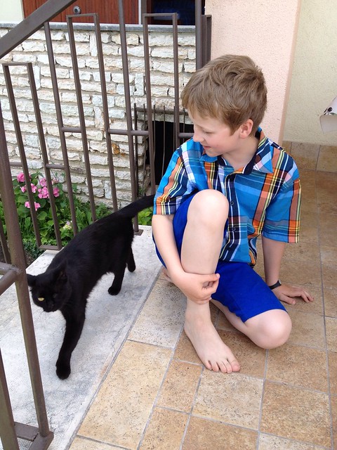 Jeg og den svarte katten