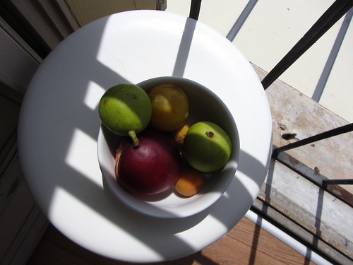 fruit bowl at my window
