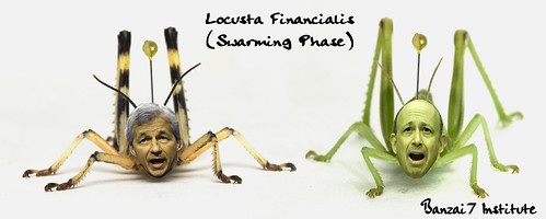 LOCUSTA FINANCIALIS by Colonel Flick