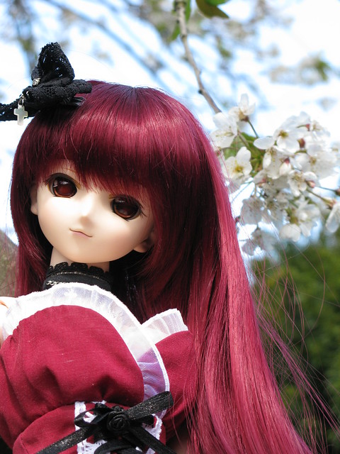 Spring Kaori
