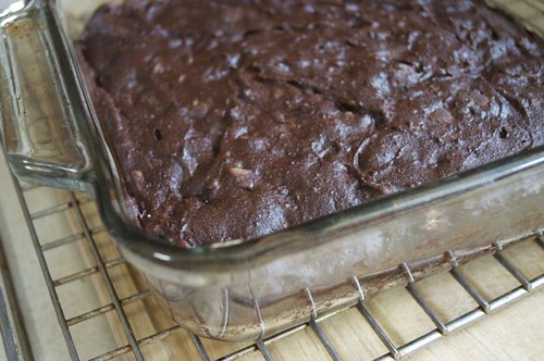 brownies with black beans & walnuts 14