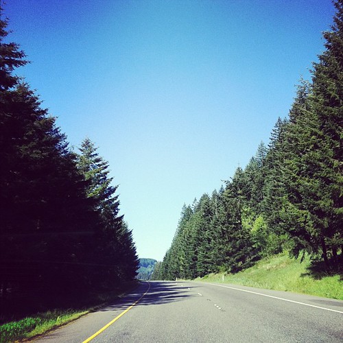Washington State hwy...we're beach bound.