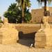 Luxor Temple, Egypt - IMG_1833