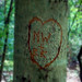 tree_love
