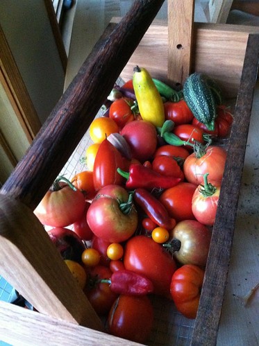 Just another Harvest by Taproot Garden