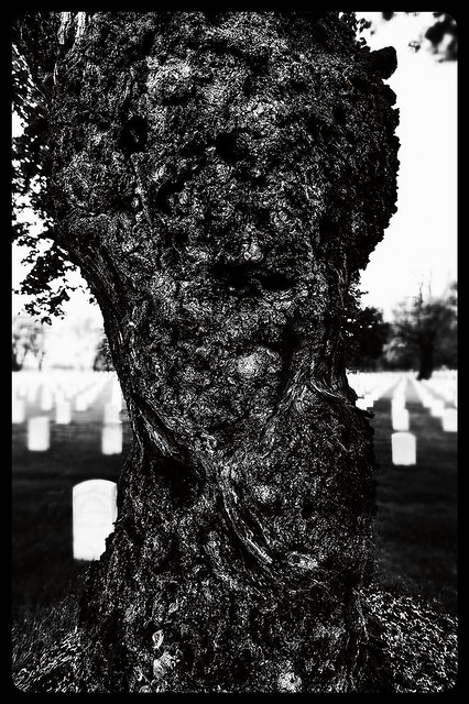 The Old Man of the Cemetery
