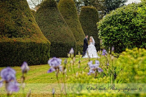 Aldermaston-Manor-Wedding-photos-L&A-Elen-Studio-Photograhy-blog-032
