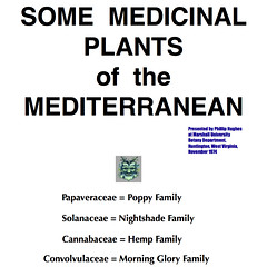 SOME MEDICINAL PLANTS of the MEDITERRANEAN