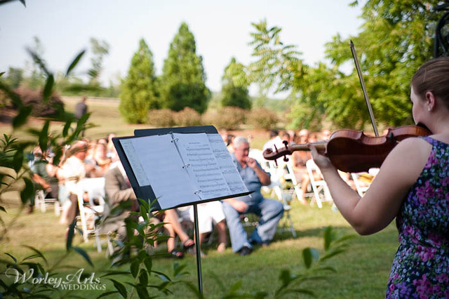 Wedding violinist