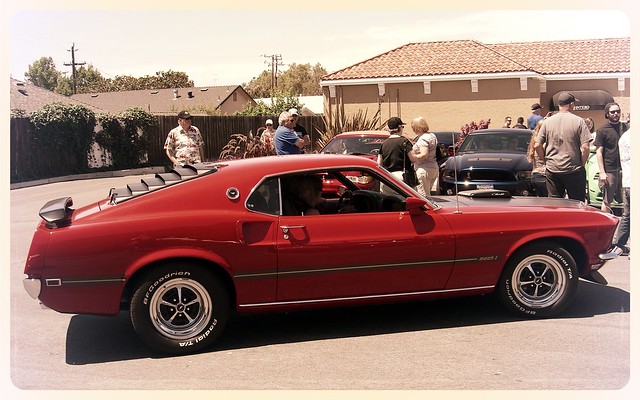 A Mustang
