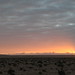 Western Sahara impressions - IMG_0641_CR2