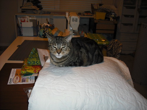 miss kitty approves another quilt