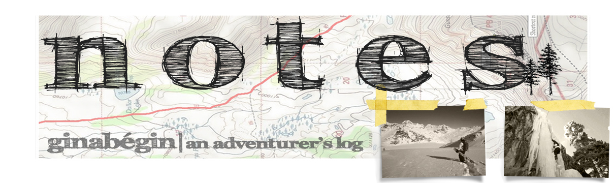 Will Travel for Adventure: One Girl's Life on the Road