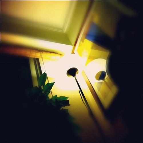 From a low angle #photoadayjune by Bracuta