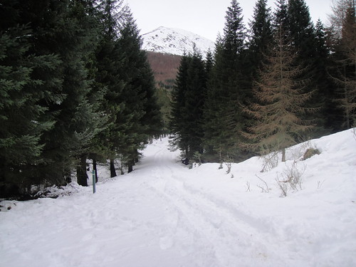 Looking back down the Glendoll Forest track to Cairn Derg, Glen Clova