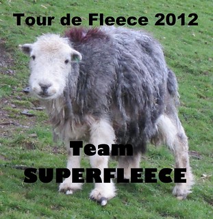 Tour de Fleece Herdwick