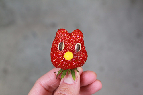 strawberry kitty