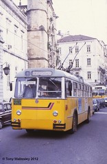 Coimbra Buses & Trolleybuses