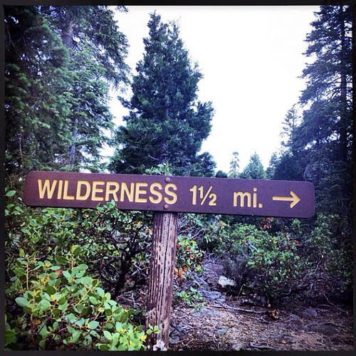 Indeed. Days of it & @prawnpie #wilderness