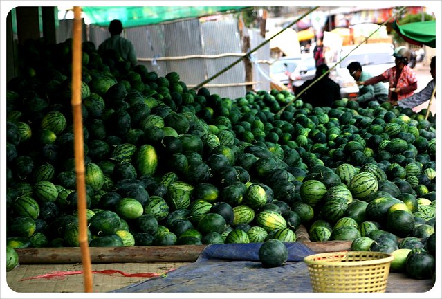 battambang market melons