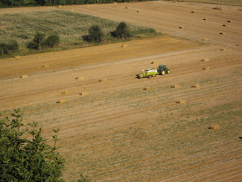 Tractor at work in a field (Mombaldone, Piemonte, NW Italy)