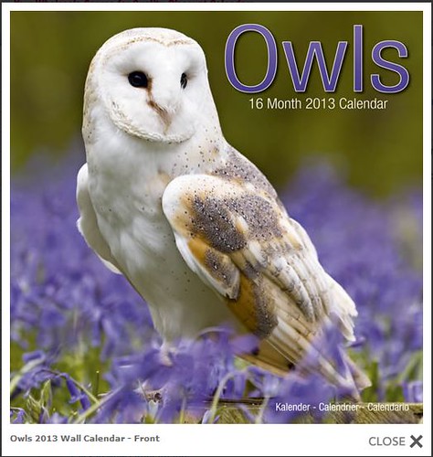 Avonside Owls Calendar by Megan Lorenz
