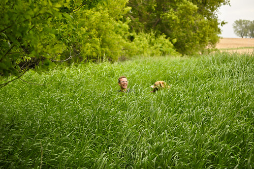 Playing in the tall grass