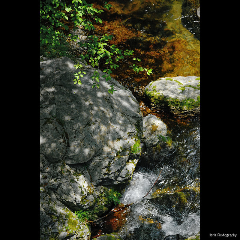 The fragrance of mountain stream *