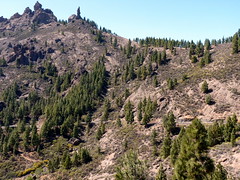 Gran Canaria - Roque Nublo and The Monk in the Spring