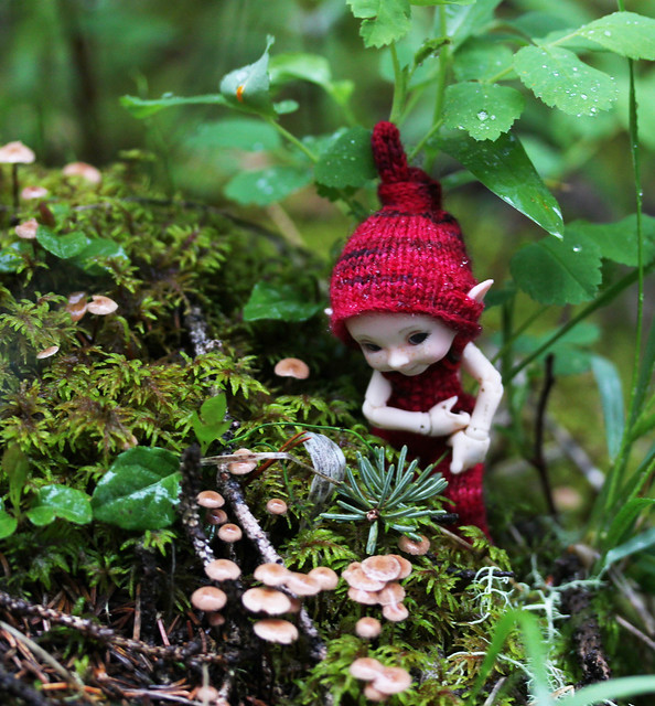mr tumnus and the fairy mushrooms