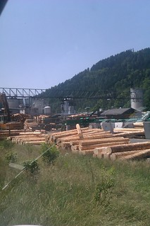 IMblack forest wood processing
