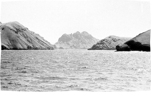 Postcards From Komodo National Park in the Mid-1920s