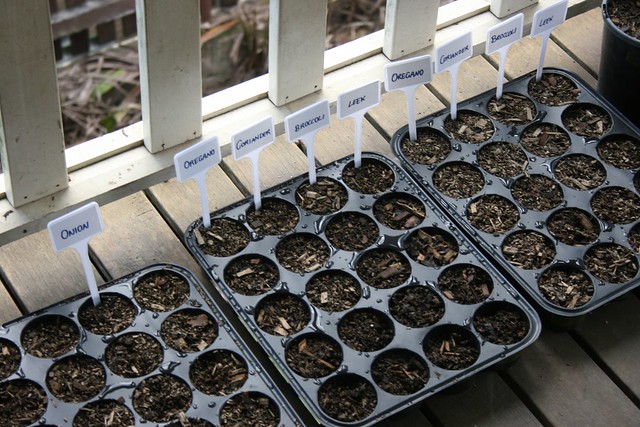 Seedling trays