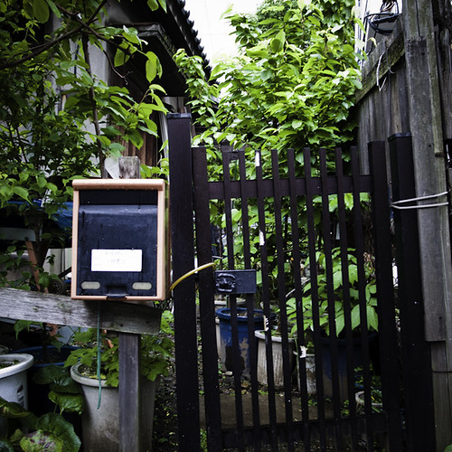 Gated Jungle Home, Harajuku