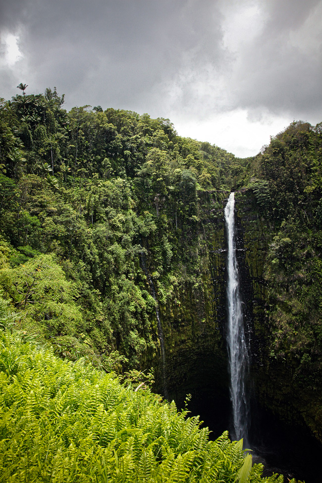 Akaka Falls State Park Hike Big Island Hawaii | on our epic cross country roadtrip | 50 states photography challenge