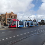 Adelaide Metro Trams