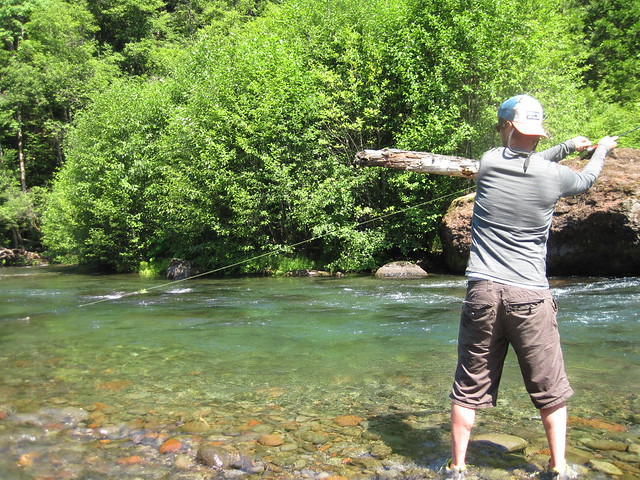 Summer fly fishing on the Mckenzie river