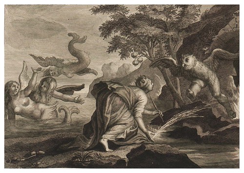 006- Ascalafos transformada en buho y las sirenas en aves-Ovid's Metamorphoses In Latin And English V.2- Bernard Picart-© UniversitättBibliotheK H