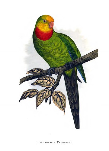 005-Parrots in captivity-1884- William Thomas Greene