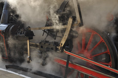 Wolsztyn (parade of steam engines)