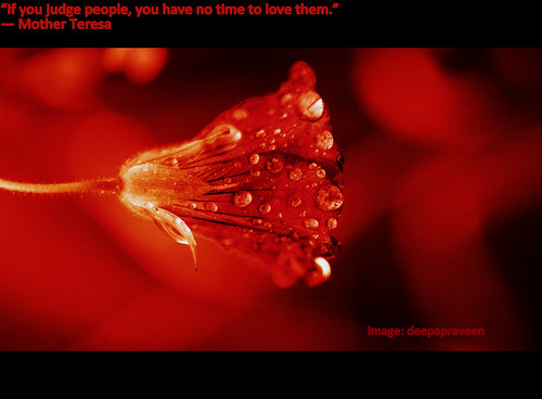 “If you judge people, you have no time to love them.”  ― Mother Teresa by {deepapraveen very busy with work..back soon