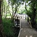Bridge Camphill Trail