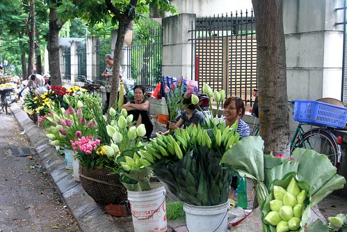 Flowers for Sale
