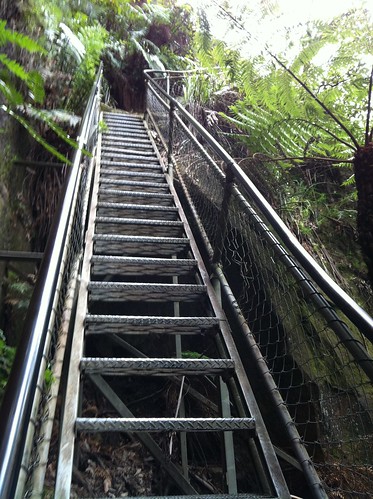 2 Stairs Ladder