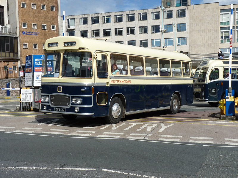Royal Blue EDV505D