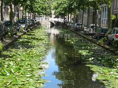 Delft [cities in The Netherlands]