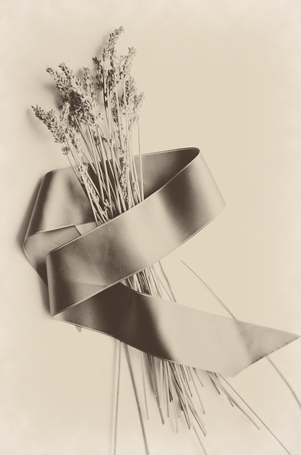 Lavender + Ribbon by Mary Banducci