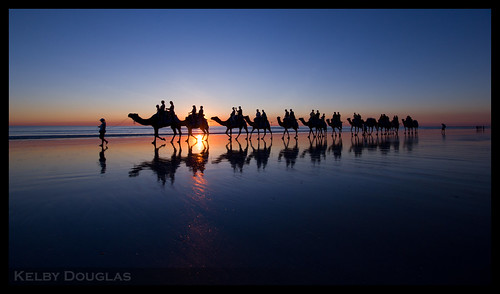 Cable Beach Broome Camels Western Australia
